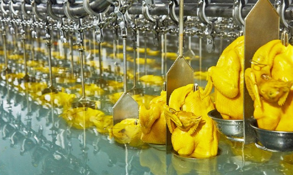 唐順興港式燒臘：美味傳承，盡顯港風(fēng)韻味