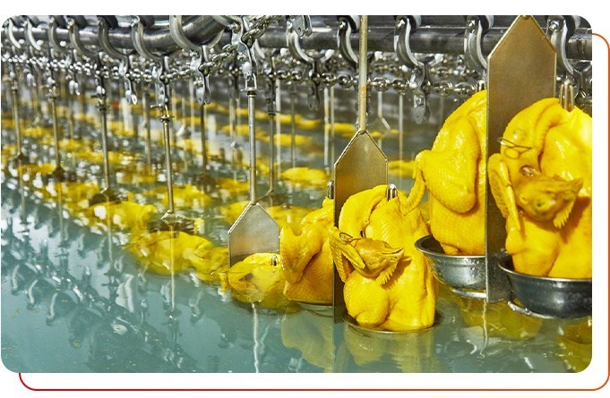 預制菜供應(yīng)商產(chǎn)品安全衛(wèi)生嗎？