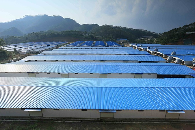 乳鴿食材批發(fā)廠家哪家好 ？ 