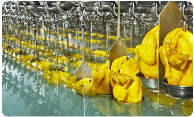 白切雞食材供應(yīng)商有安全保障嗎？