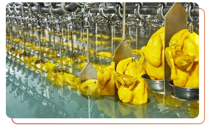 雞肉是否經(jīng)過(guò)檢測(cè)，有無(wú)相關(guān)的檢測(cè)報(bào)告？