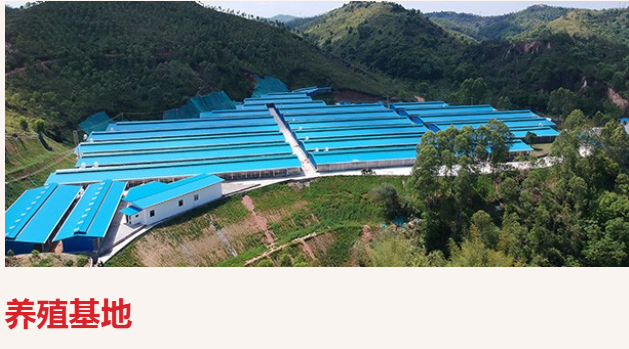 唐順興預(yù)制菜食材從哪里來